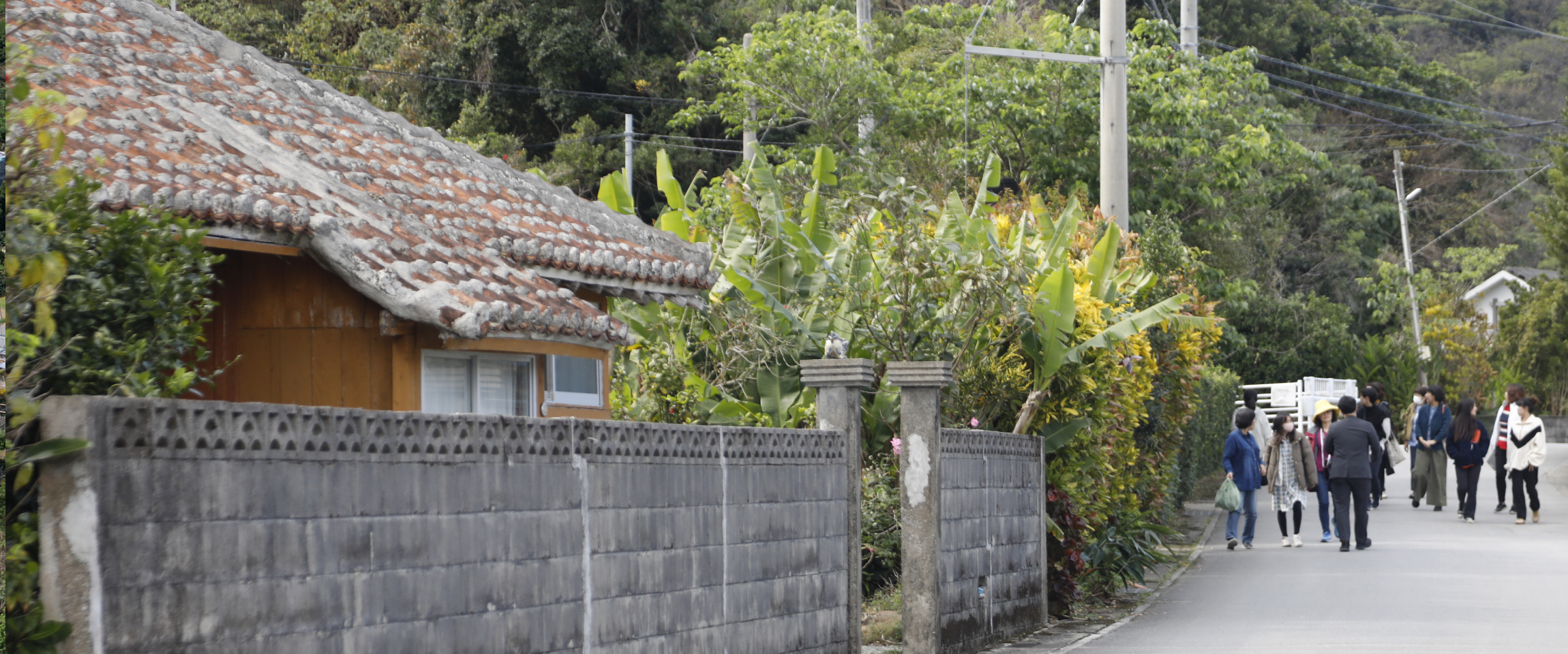 大宜味村 イメージ